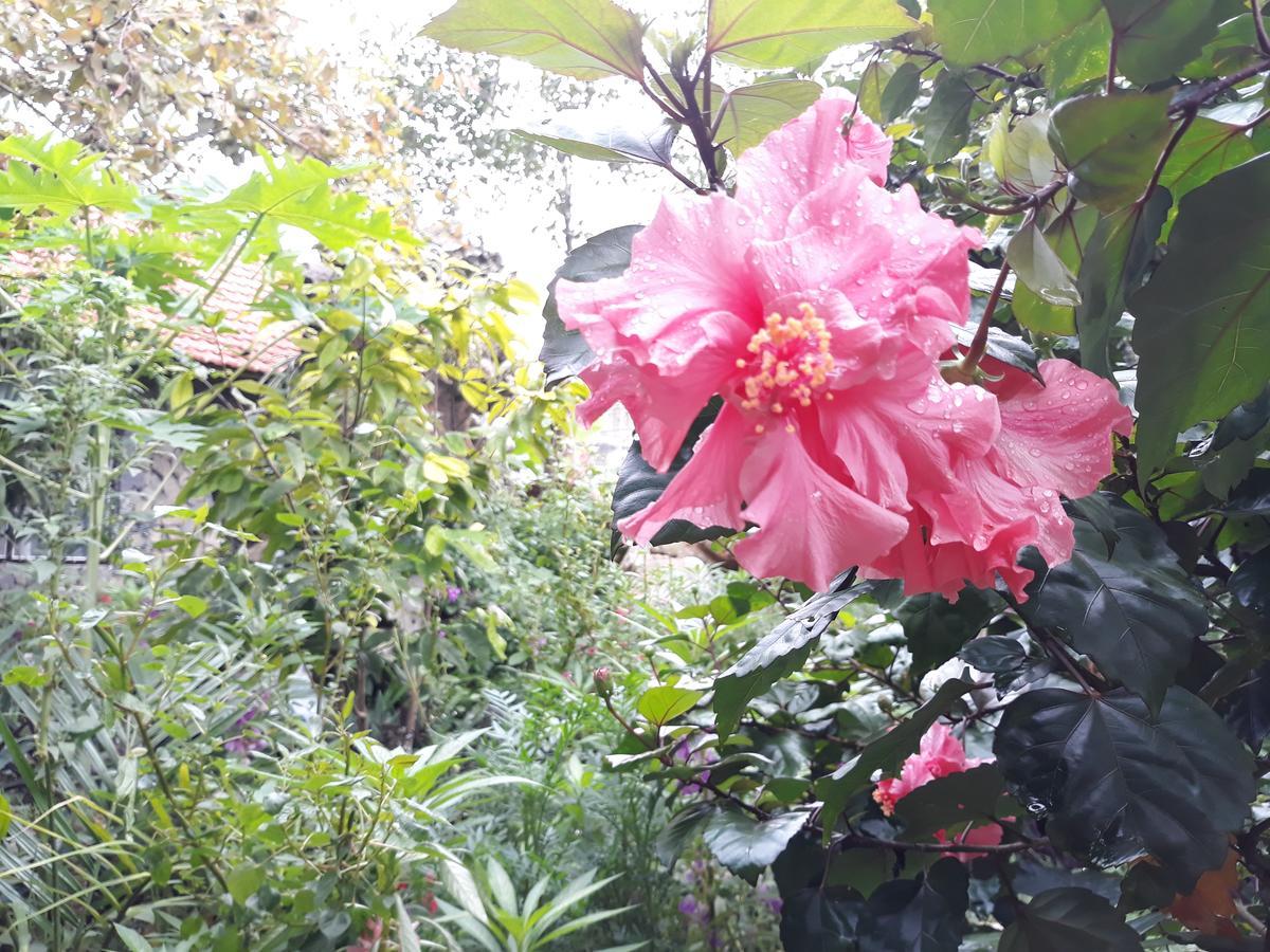 Mr. Viet Home Stay Ninh Bình Extérieur photo