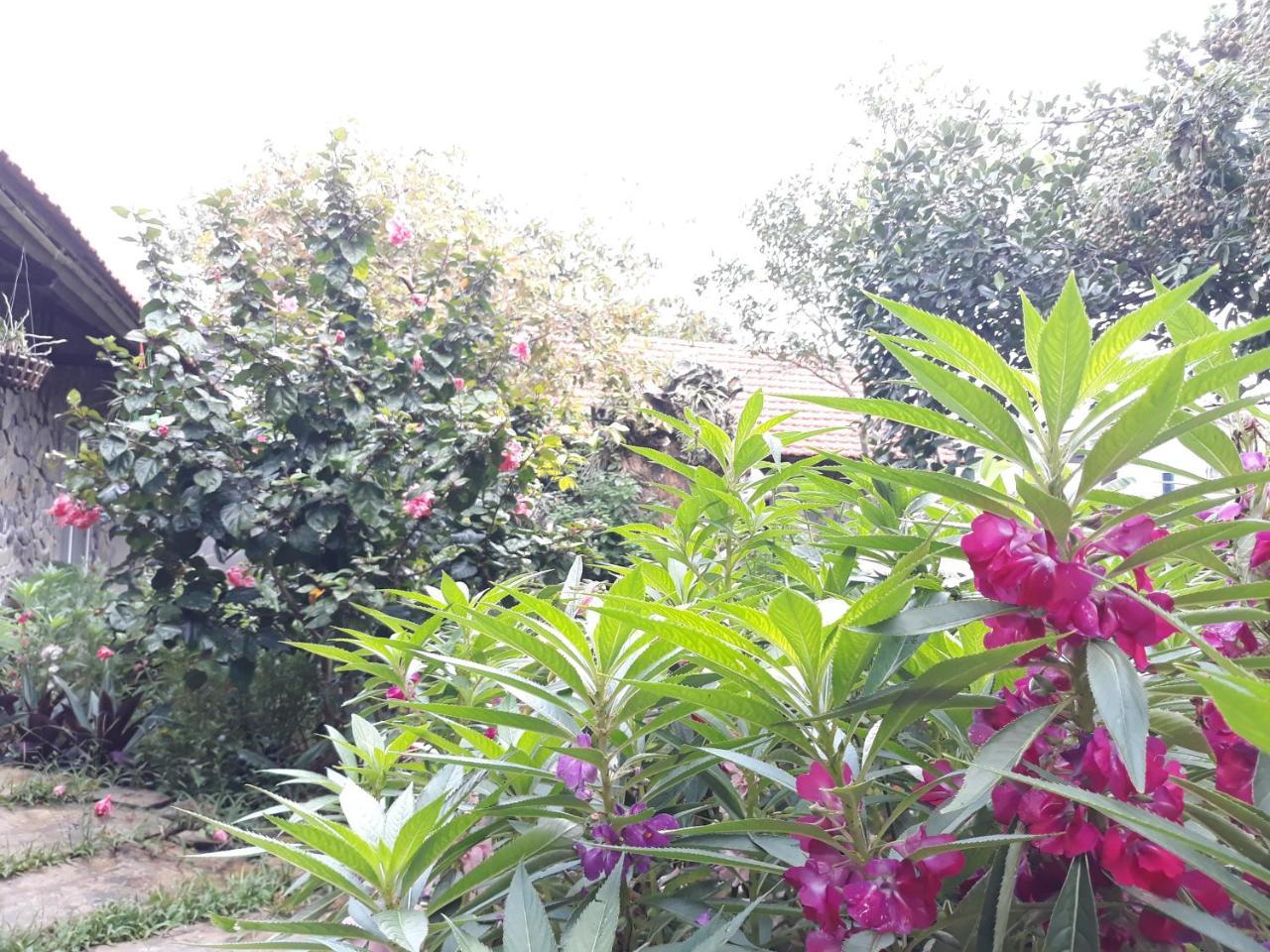 Mr. Viet Home Stay Ninh Bình Extérieur photo