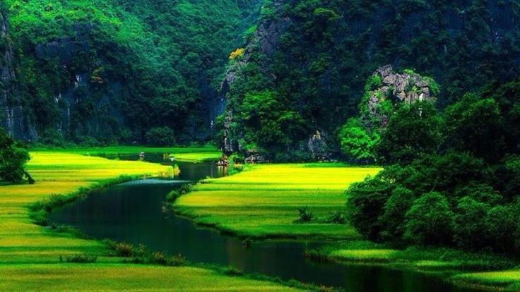 Mr. Viet Home Stay Ninh Bình Extérieur photo