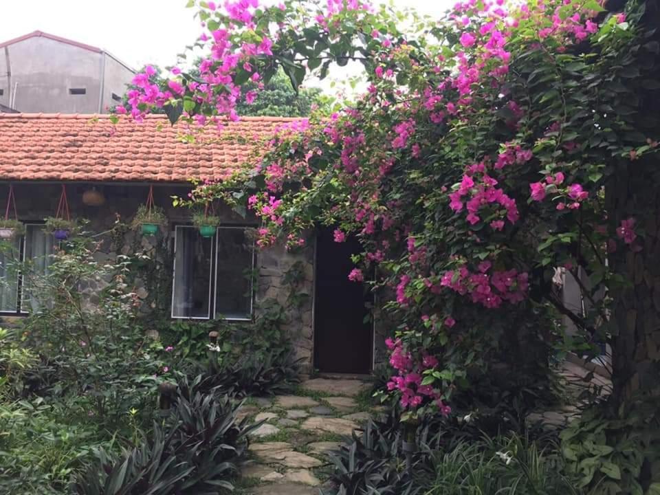 Mr. Viet Home Stay Ninh Bình Extérieur photo
