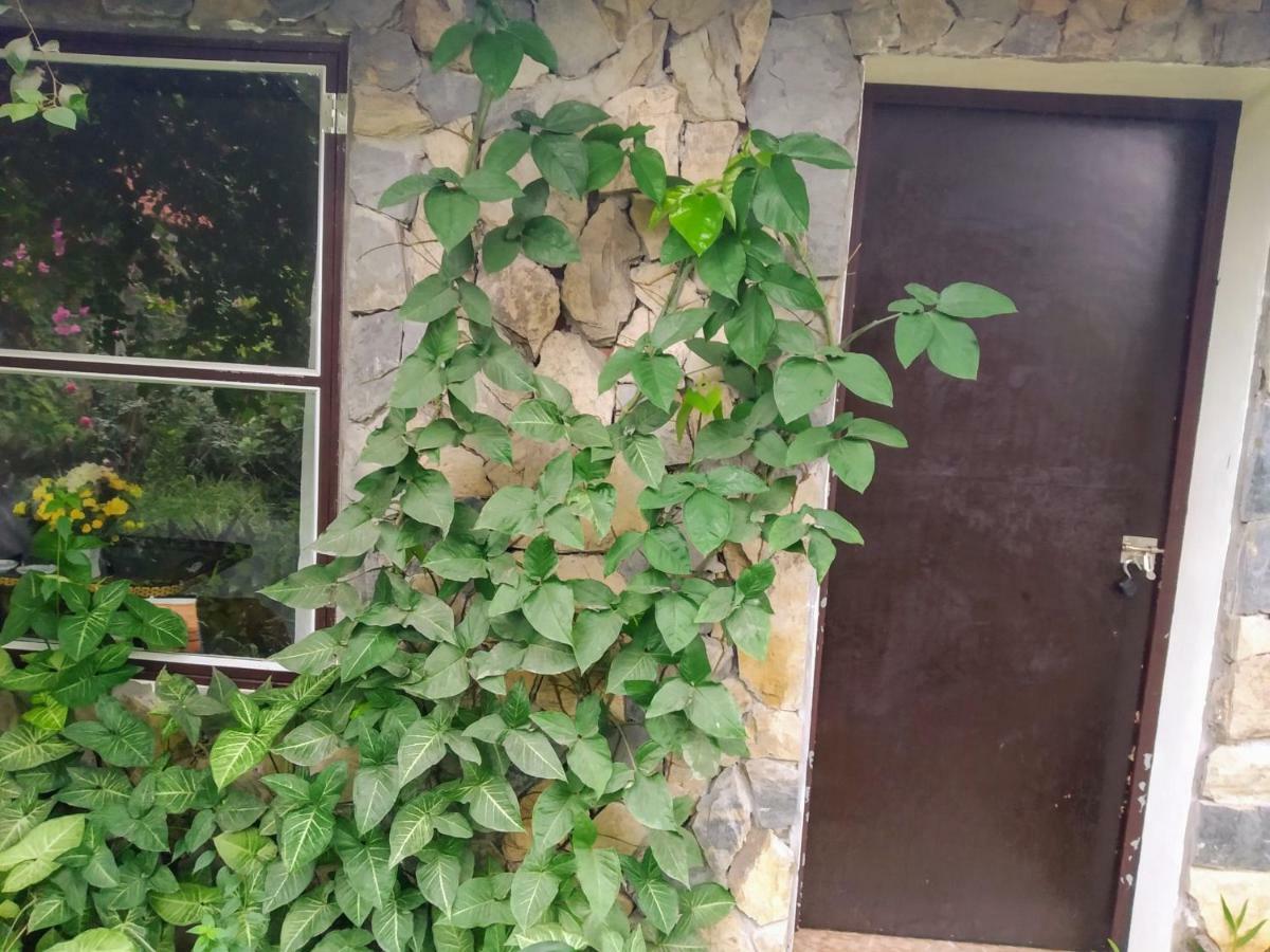 Mr. Viet Home Stay Ninh Bình Extérieur photo