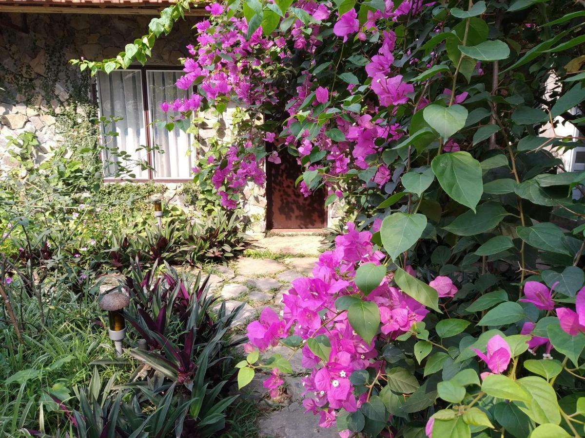 Mr. Viet Home Stay Ninh Bình Extérieur photo